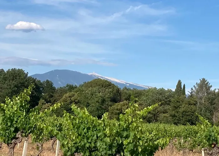 Pause Spa Sur La Route Du Ventoux Adults Only