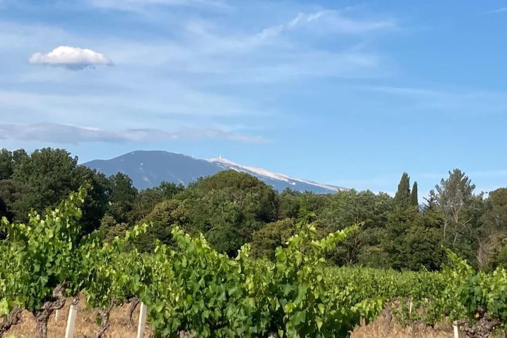 Holiday home Pause Sur La Route Du Ventoux Adults Only *