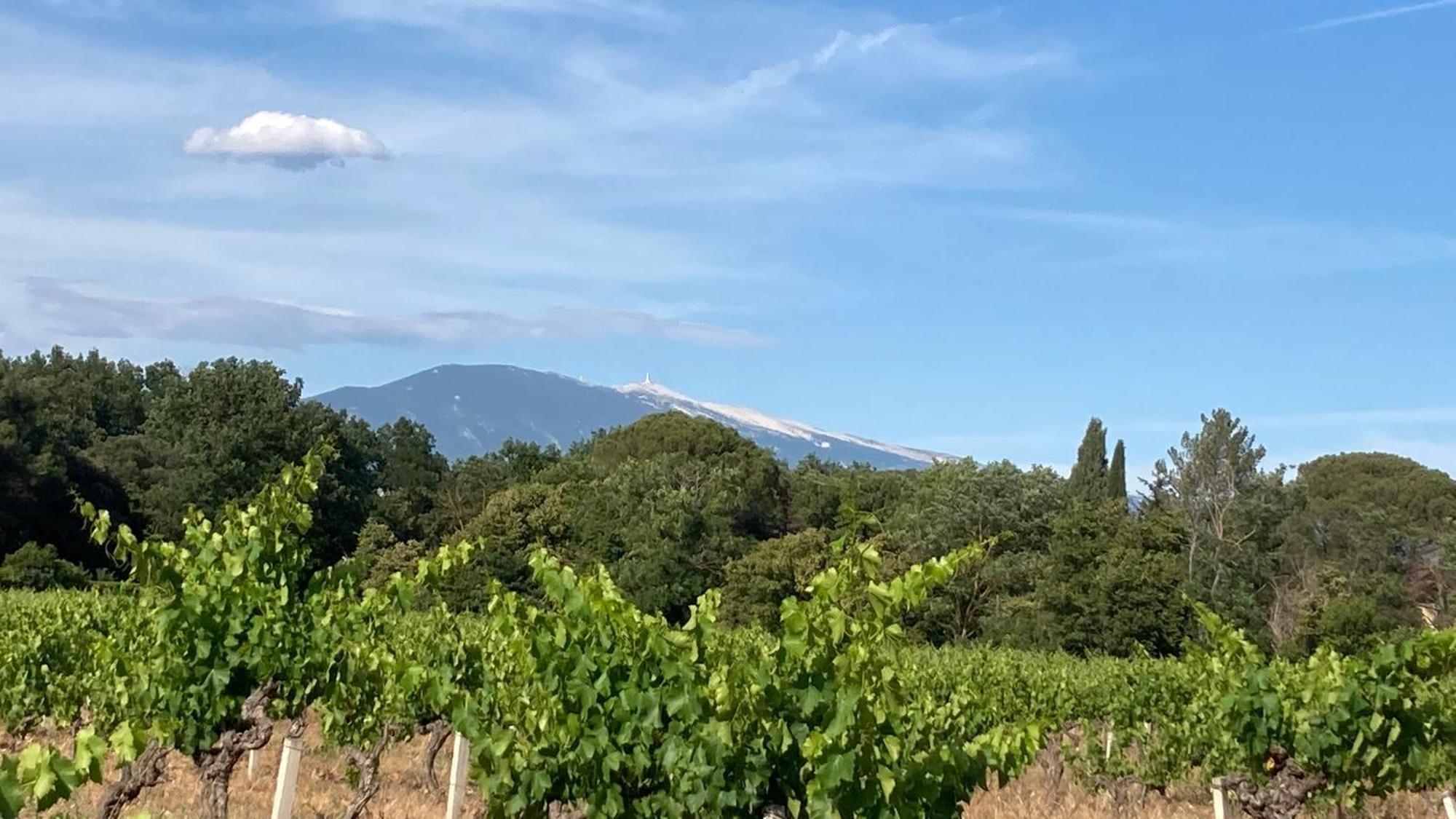 Pause Sur La Route Du Ventoux Adults Only Holiday home
